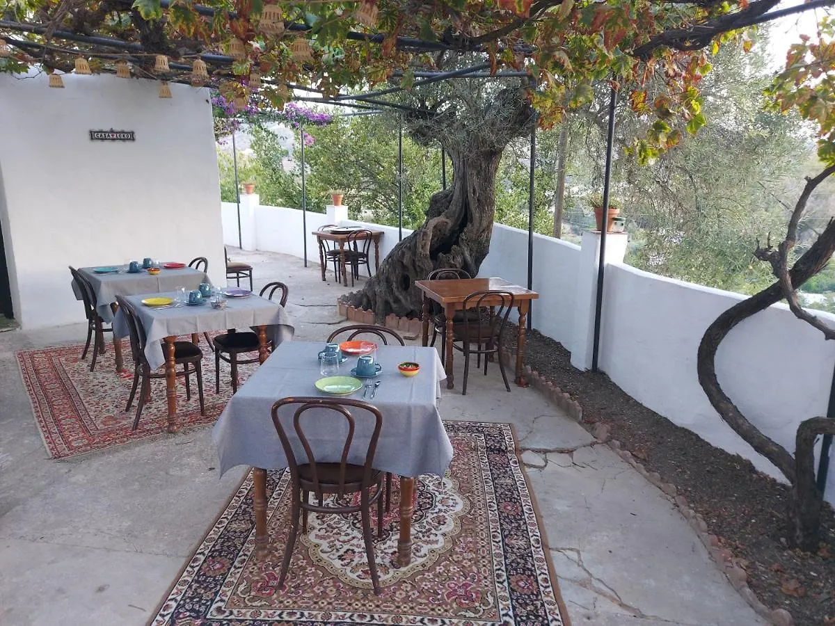 Casa Loko Bed and Breakfast Coín Bed & Breakfast