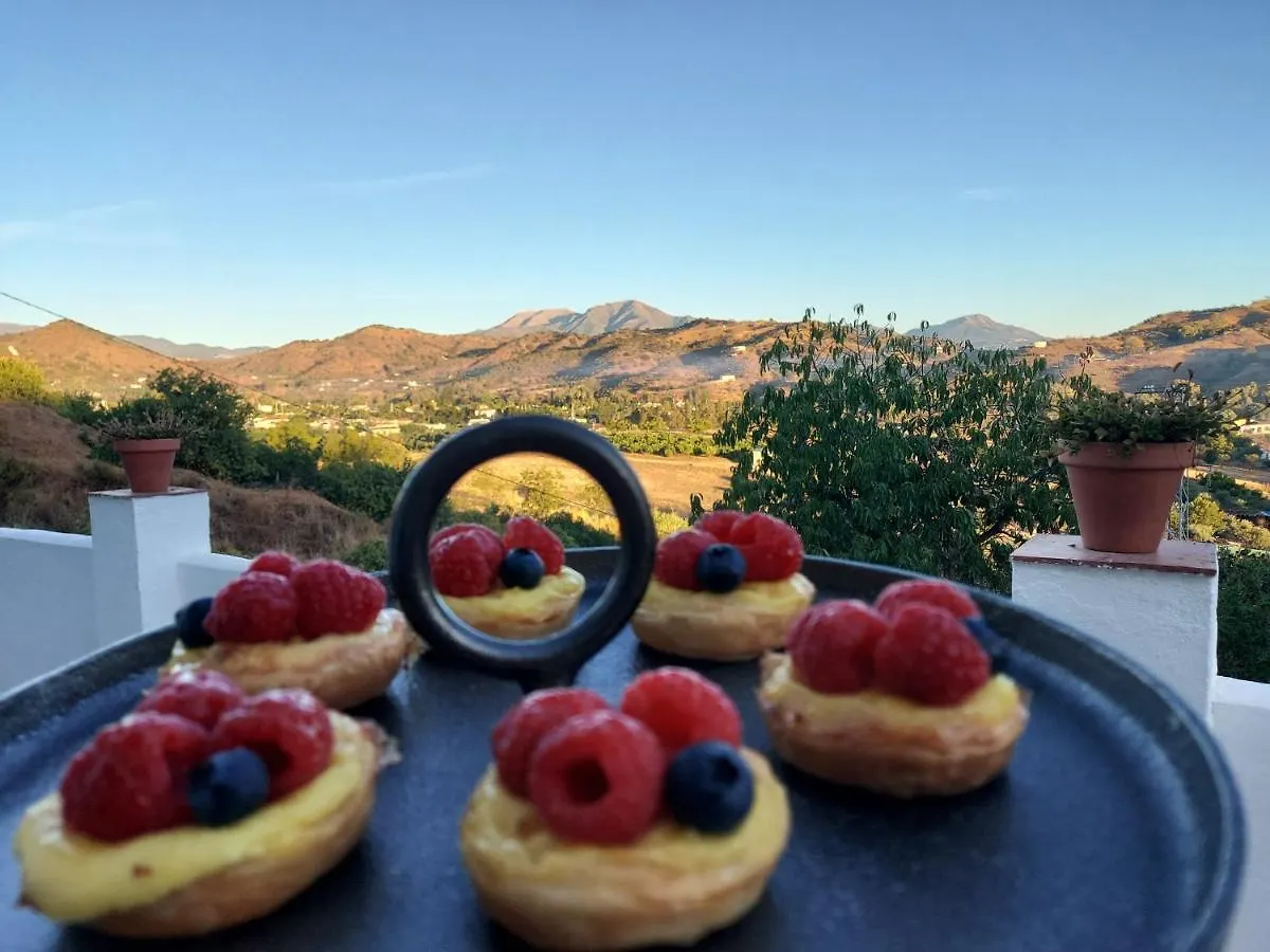 Casa Loko Bed & Breakfast Coin 0*,